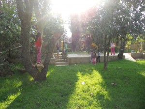 A view of the school's garden