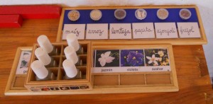 A tray with seed samples in Workshop 2